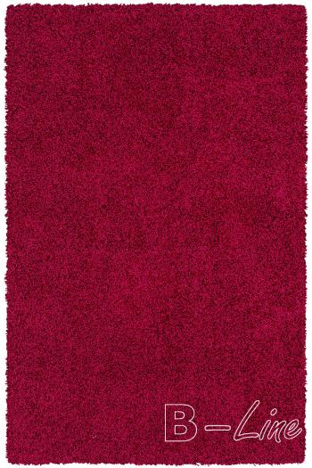 Sintelon koberce  80x150 cm Kusový koberec Touch 01/CCC - 80x150 cm Červená