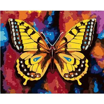 Malování podle čísel - Motýl na barevném pozadí (HRAbz33271nad)
