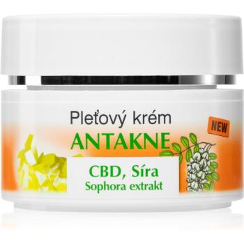 Bione Cosmetics Antakne pleťový krém se sírou 51 ml