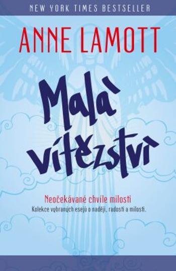 Malá vítězství - Anne Lamottová