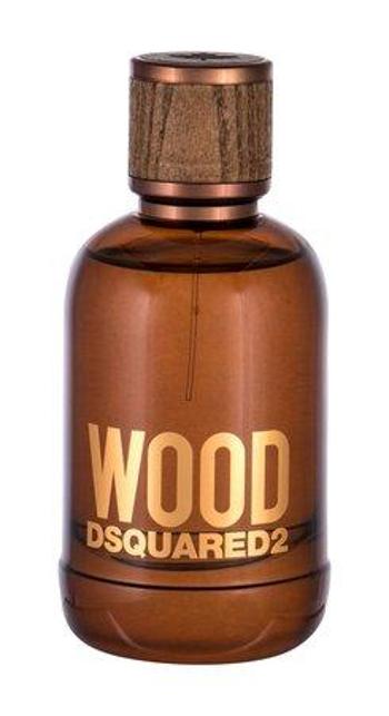 Dsquared² Wood For Him - EDT 100 ml, 100ml