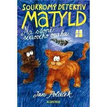 Soukromý detektiv Matyld (978-80-000-4031-8)