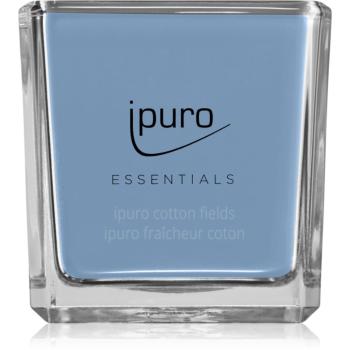 ipuro Essentials Cotton Fields vonná svíčka 125 g