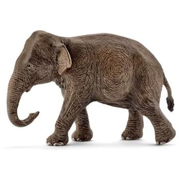 Schleich Asijský slon samice 14753 (4005086147539)