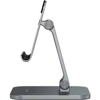 Satechi Aluminum Desktop Stand for iPad (ST-ADSIM)