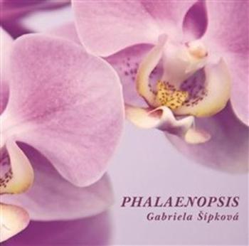 Phalaenopsis - Šípková Gabriela