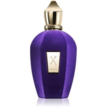 Xerjoff Accento parfémovaná voda unisex 100 ml