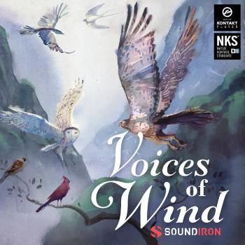 Soundiron Voices of Wind Collection (Digitální produkt)