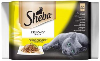 SHEBA kapsa DELICACY DRŮBEŽÍ menu V ŽELÉ - 4x85g