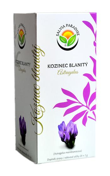 Salvia Paradise Kozinec blanitý sáčky 20 ks