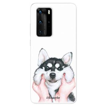 Odolné silikonové pouzdro iSaprio - Malamute 01 - Huawei P40 Pro