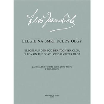 Elegie na smrt dcery Olgy (9790260101425)