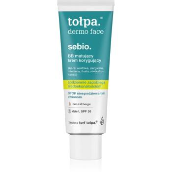 Tołpa Dermo Face Sebio matující BB krém 40 ml