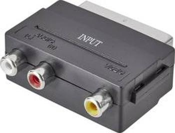 Cinch / SCART adaptér SpeaKa Professional SP-7869904, černá