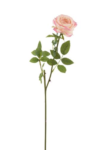 Dekorace umělá růžová růže Mattie - 17*10*59 cm 12496