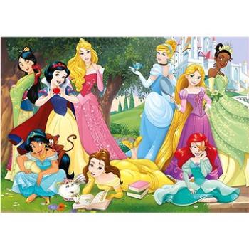 Educa Puzzle Disney Princezny 500 dílků (8412668177239)