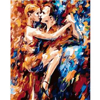 Malování podle čísel - Ve vášni tance (HRAmal00270nad)