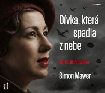 Dívka, která spadla z nebe - Mawer Simon