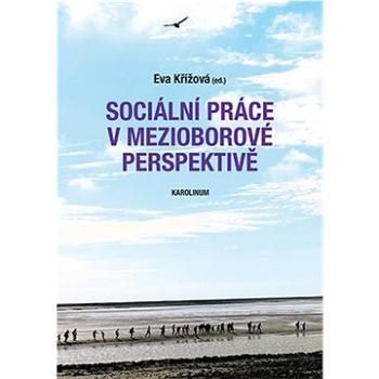 Sociální práce v mezioborové perspektivě (9788024651095)