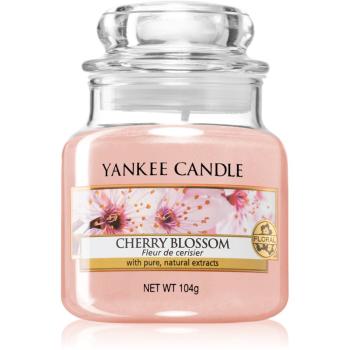 Yankee Candle Cherry Blossom vonná svíčka 104 g