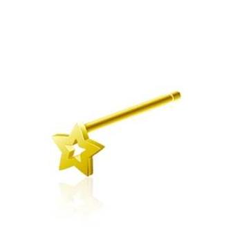 Šperky4U Zlacený stříbrný piercing do nosu hvězda - N0126-GD