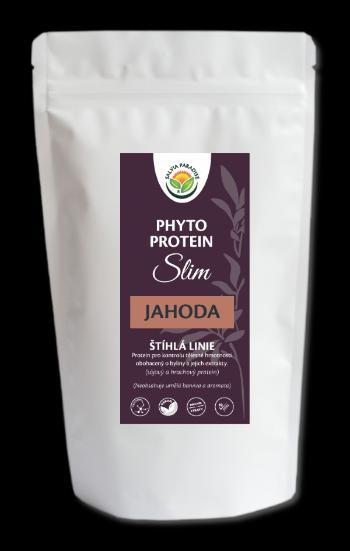 Salvia Paradise Phyto Protein Slim - jahoda 300 g