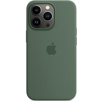 Apple iPhone 13 Pro Silikonový kryt s MagSafe eukalyptově zelený (MN673ZM/A)