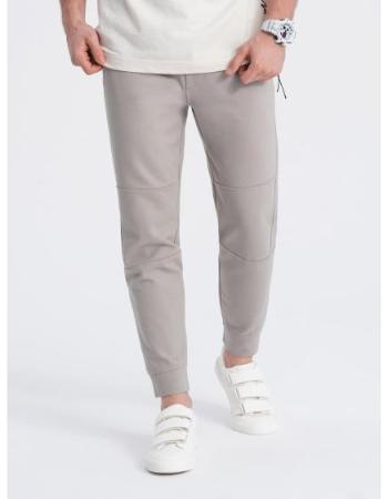 Pánské tepláky joggers V1 OM-PASK-0142 popelavé