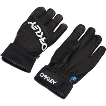 Oakley FACTORY WINTER GLOVES 2.0 Lyžařské rukavice, černá, velikost S