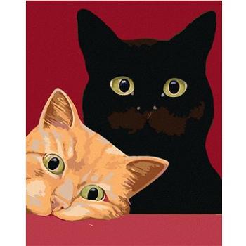 Malování podle čísel - Dvě kočky a červené pozadí (HRAmal00537nad)