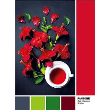Clementoni Puzzle Pantone: Aroma červeného ibišku 1000 dílků (8005125394944)