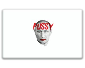 3D samolepky obdelník - 5ks Pussy Putin