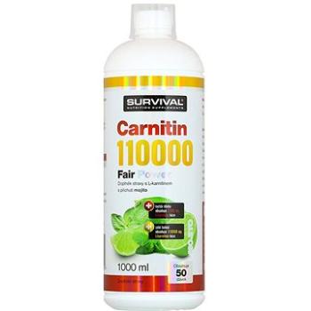 Survival Carnitin 110000 Fair Power 1000 ml mojito (8594056371792)
