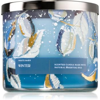 Bath & Body Works Winter vonná svíčka 411 g