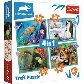 Trefl Puzzle Animal Planet: Záhadný svět zvířat 4v1 (35,48,54,70 dílků) (34382)