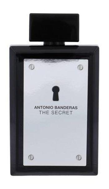 Antonio Banderas The Secret - toaletní voda s rozprašovačem 200 ml, mlml