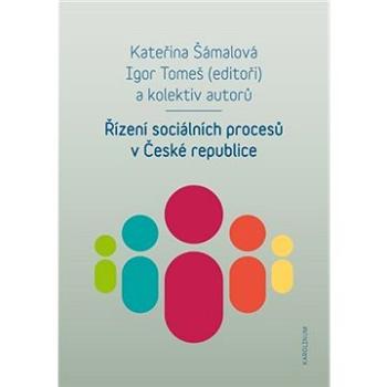 Řízení sociálních procesů v České republice (9788024641898)
