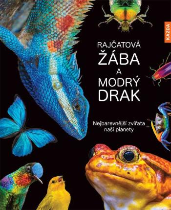 Nakladatelství KAZDA Andrea Köhrsenová: Rajčatová žába a modrý drak Provedení: Tištěná kniha
