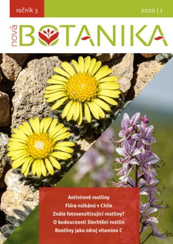 Nová Botanika - Botanica Nova, z.s. a kolektiv autorů - e-kniha