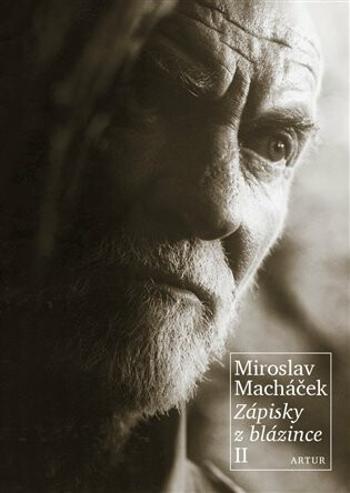 Zápisky z blázince II. - Miroslav Macháček