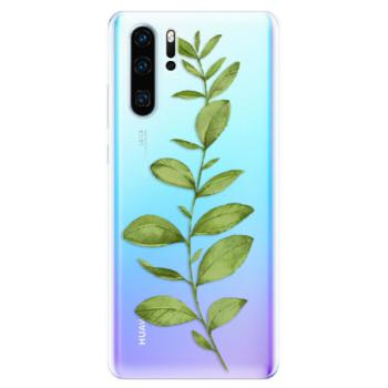 Odolné silikonové pouzdro iSaprio - Green Plant 01 - Huawei P30 Pro