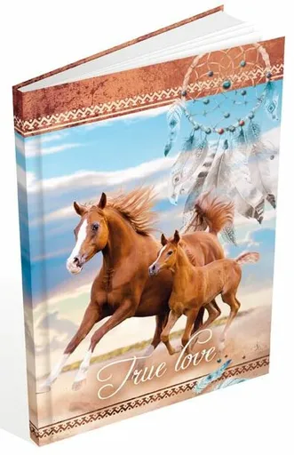 Záznamová kniha A5 MFP 100l/čistá ZL5100