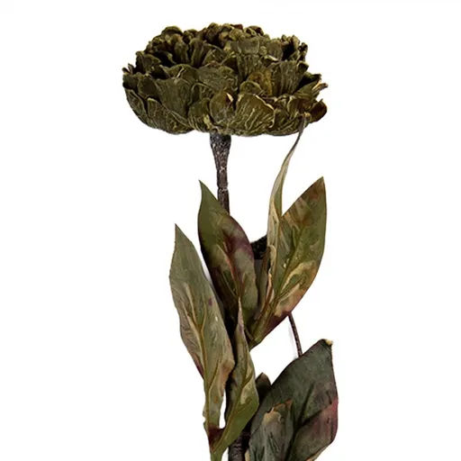 Zelená umělá dekorace sušená květina pivoňka - 10*10*65 cm Clayre & Eef