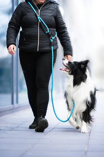 Vsepropejska Moris přepínací vodítko pro psa | 240 cm Barva: Modrá, Šířka vodítka: 0,8 cm