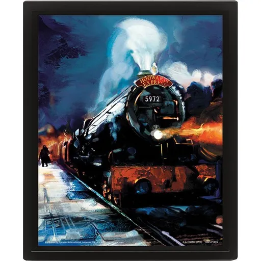 3D obraz Harry Potter Bradavický expres