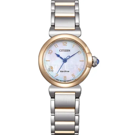 Citizen Elegance EM1136-87D