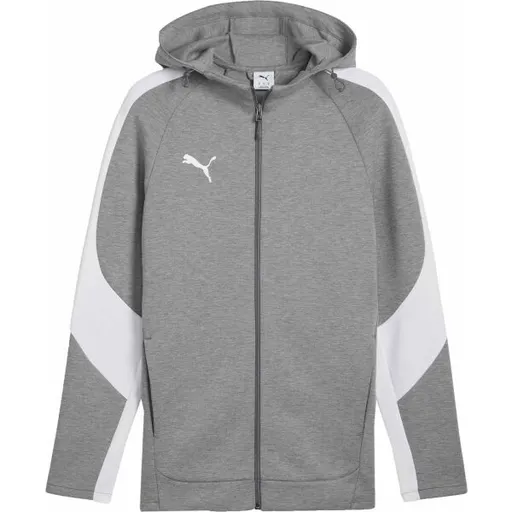 Puma TEAMEVOSTRIPE HOODED JACKET Pánská bunda, šedá, velikost