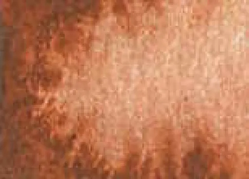 Akvarelová barva DS 5ml – 010 Burnt Sienna