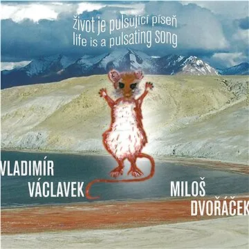 Václavek Vladimír