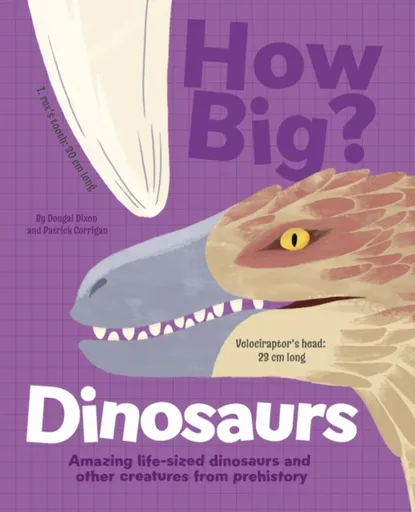 How Big? Dinosaurs - Dixon Dougal